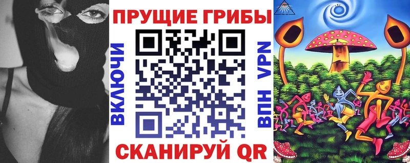 Галлюциногенные грибы Psilocybe  Старая Русса 