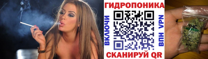 закладка  мега ссылка  Канабис индика  Старая Русса 